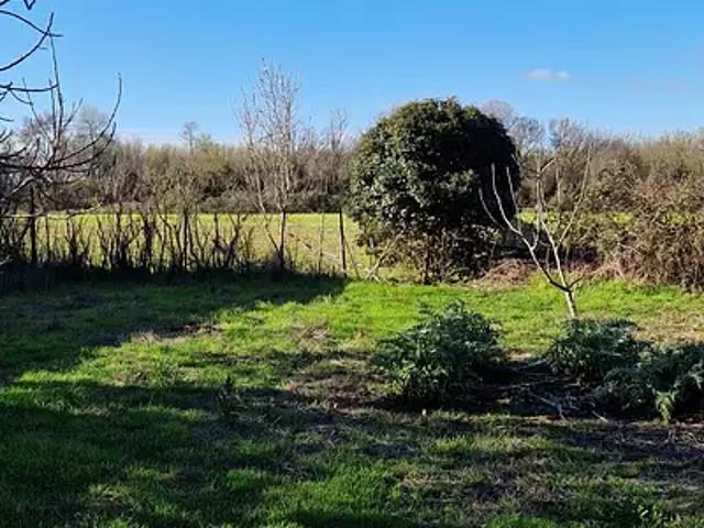 Mauguio 34130 Achat / Vente terrain