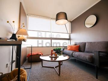 Maule 150 departamento 1d1b, santiago