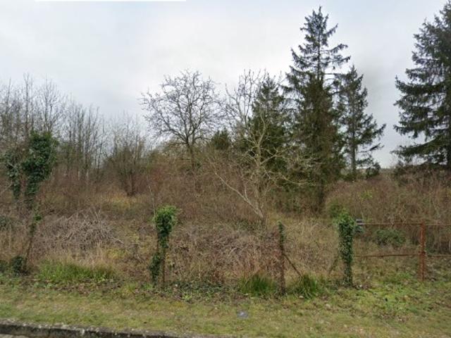 Maule Vente Terrain 78