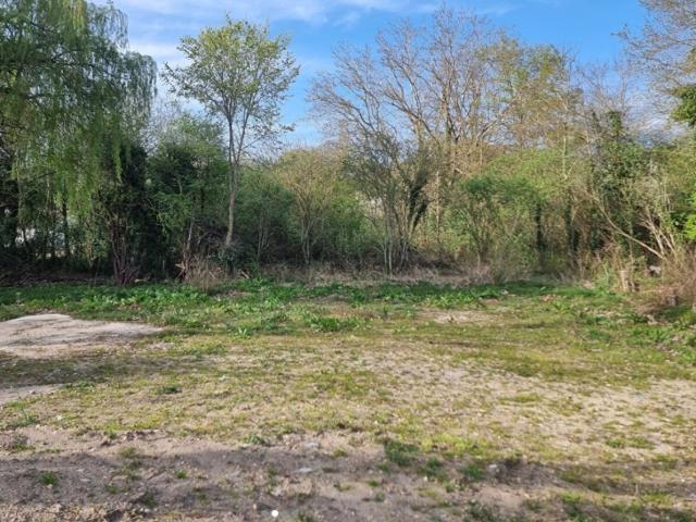 Maule Vente Terrain 78