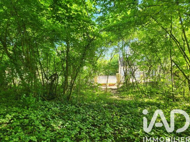 Maule Vente Terrain 78