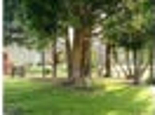 Maungaturoto, 3 bedrooms, $650 pw