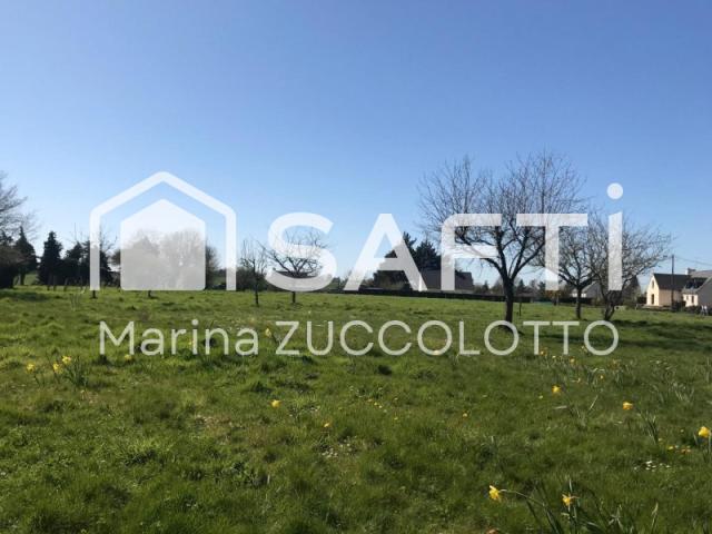 Mauron Vente Terrain 56