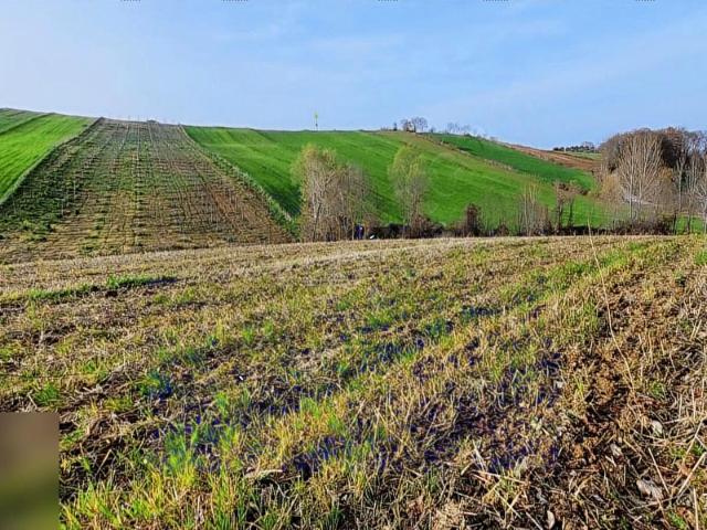 MAVİ ATLAS'TAN ALAÇAM KARAHÜSEYİNLİ SATILIK 2.600M2 TARLA