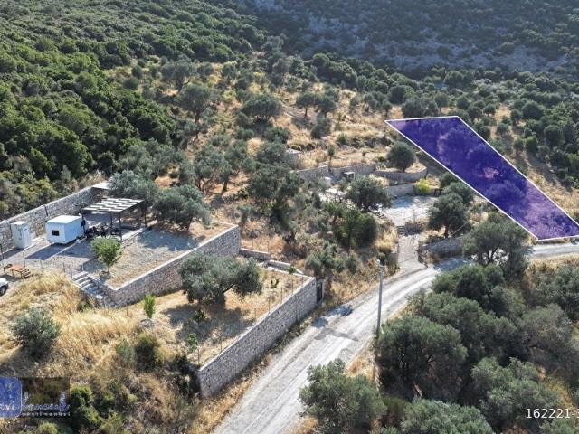 MAVİ BONCUK'TAN PANORAMİK DENİZ MANZARALI TARLA