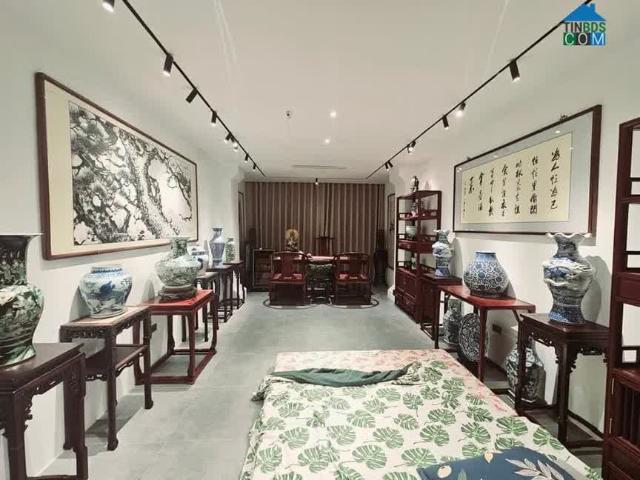 Max Đẹp! Phân Lô Phạm Ngọc Thạch Xã Đàn Thang Máy Vỉa Hè Ôtô Đỗ Kinh Doanh Sổ Đẹp 46M2 7T MT 4M
