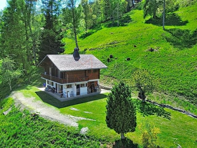 Mayens de Chamoson Authentisches Chalet auf einem großen Grundstück