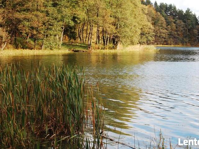 Mazury Stare Juchy działki w okolicach jeziora lasu