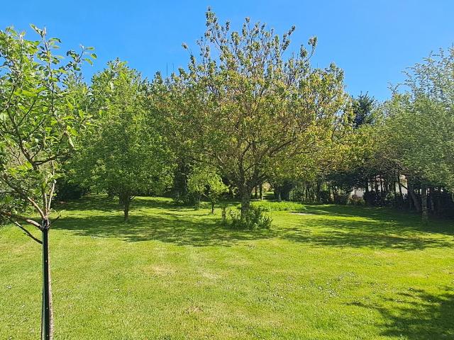 Mazamet Vente Terrain 81