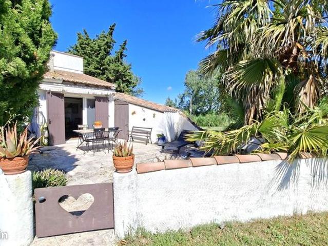 Mazet traversant vue étang | Saintes Maries de la Mer | Terrasse 50 m2