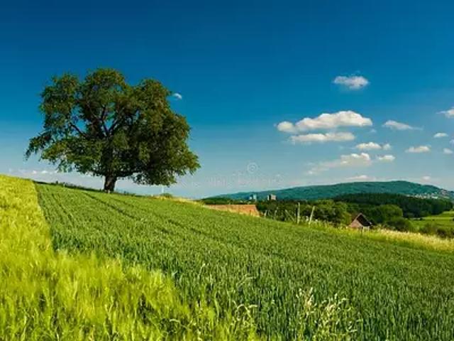 Mazières de Touraine 37130 Programme neuf terrain neuf à vendre