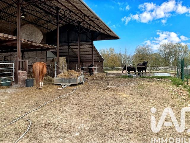Mazinghien Vente Maison 59