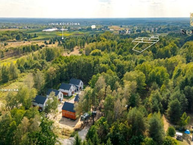 Mazowiecka 10 540 m², Sierzchów