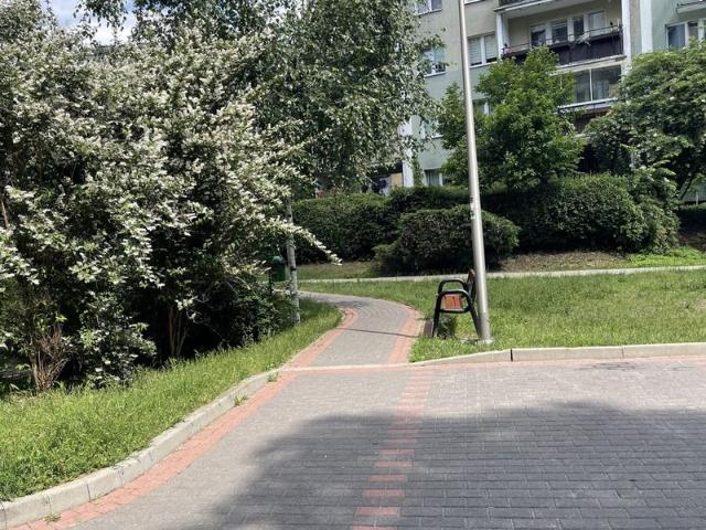 mazowieckie, Warszawa, Ursynów, Puszczyka