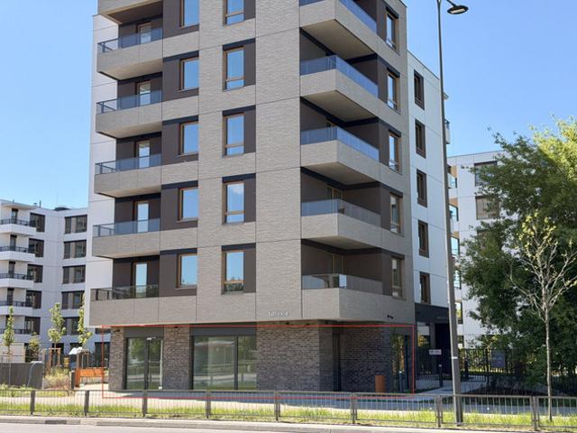 Mazowieckie, Warszawa, Mokotów, Czerniaków, Aleja Polski Walczącej