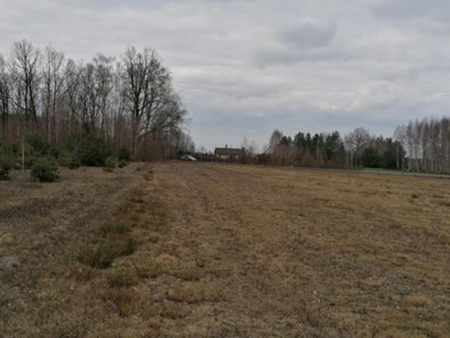 Mazowieckie, miński, Mińsk Mazowiecki, Iłówiec