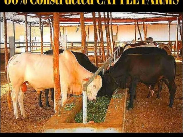 Memon cattle & family farm house karachi gulshan e maymar id 23267