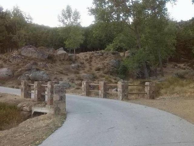 Menta y Canela Tortoles Ávila
