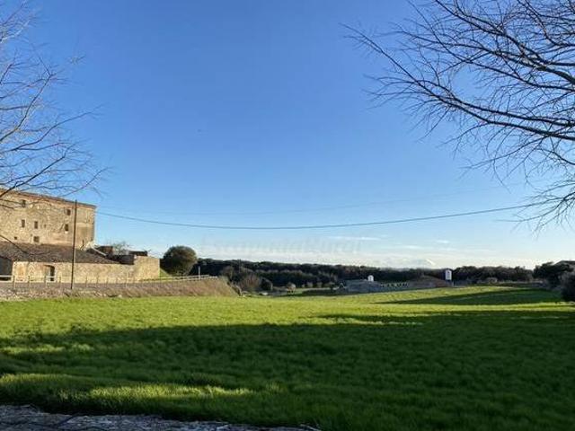 Menta Rural