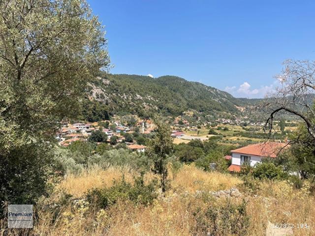 MENTEŞE KUYUCAK KAMP VE YERLEŞİM ALANLARINA YAKIN TARLA