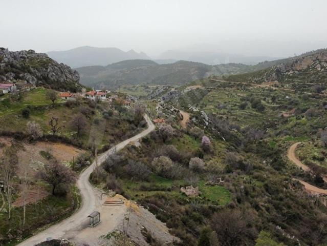 Menteşe Zeytinde Deniz Manzaralı, Yatırımlık 5 Dönüm Tarla