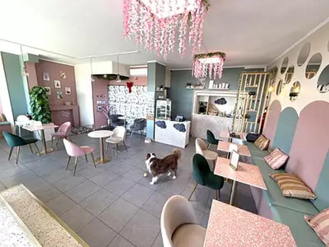Menton 06500 Achat / Vente divers