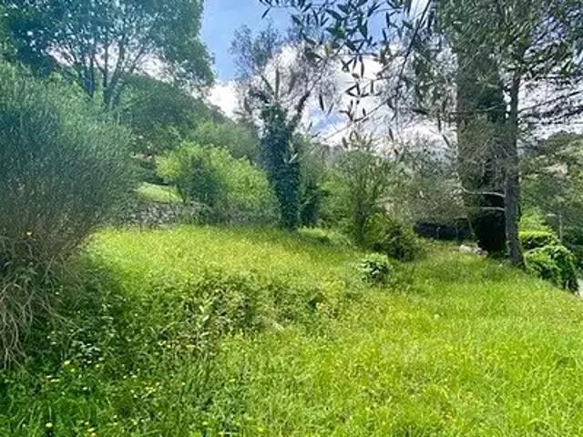 Menton 06500 Achat / Vente terrain