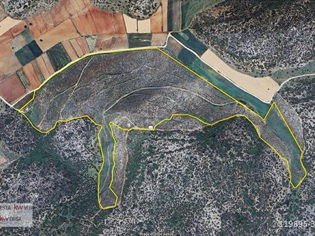 Menderes Çakaltepe'de Orman İhya Projesi 284 Dönüm Zeytinlik