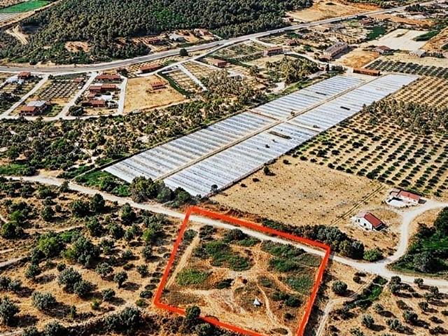 Menderes Ahmetbeyli'de Satılık Fırsat Tarla