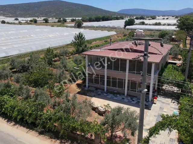 Menderes Çamönü'nde Tek Tapu 2,919 M² Tarla İçinde 150 M2 Müstakil Ev