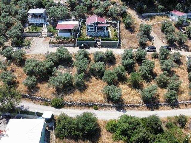 Menderes Ataköy'de Ege Zeytindalı Kooperatifinde Satılık Parsel