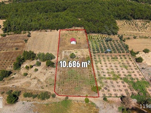 Menderes Çatalca'da Orman Sınırında Düz zemin,10.686 m Tek Tapu!