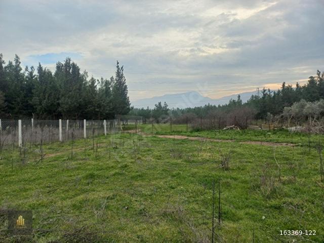 Menderes Bulgurca'da Satılık 398 m2 Tarla