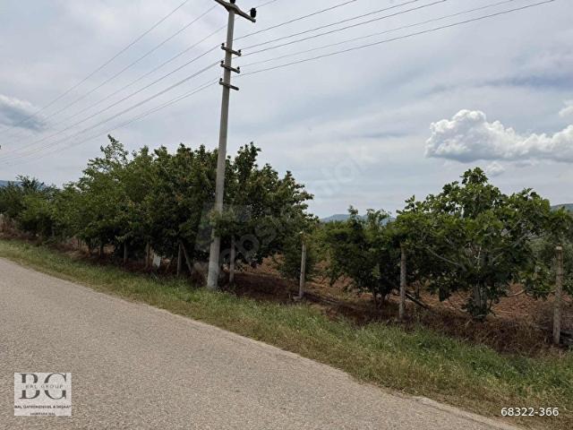 MENDERES KÜNERDE SATILIK BAHÇE 250 M2