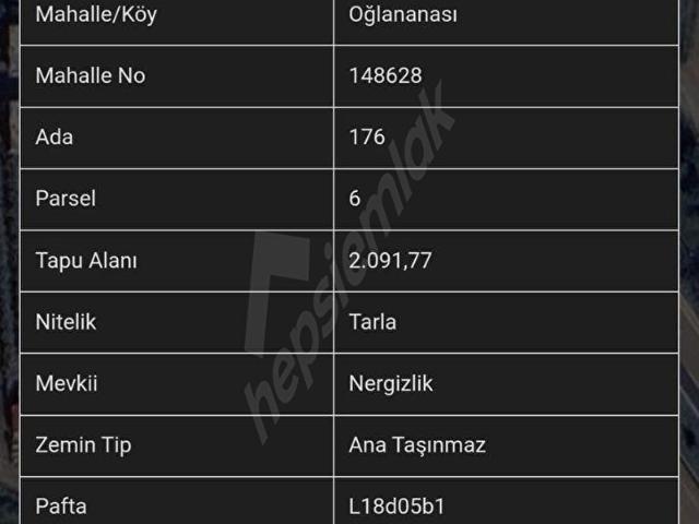 MENDERES OĞLANANASI İMAR SINIRINDA MÜSTAKİL TAPULU SATILIK TARLA
