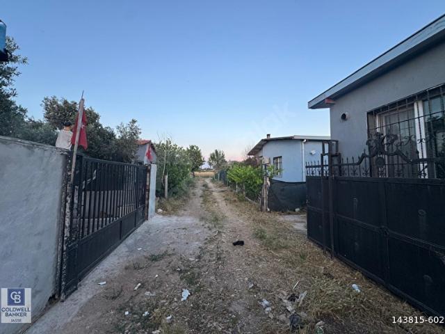 MENDERES OĞLANANASI KAVAKLIKUYU'DA SATILIK TARLA