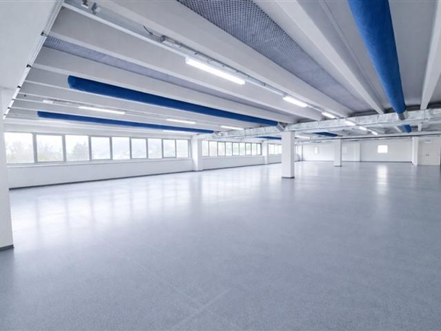 Mendrisio Büros/Arbeiter/Ausstellungsraum