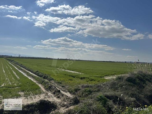 MENEMEN MALTEPE YOLU ÜZERİ 11.965 M2 DEV PARSEL