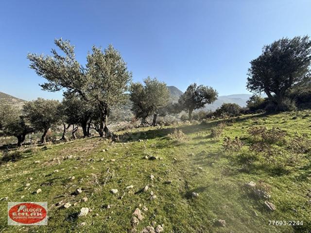 MENEMEN EMİRALEMDE 2.150 M2 TEK TAPU SATILIK TARLA