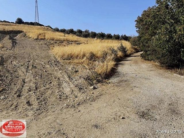 MENEMEN SÜLEYMANLIDA 266 M2 SATILIK TARLA