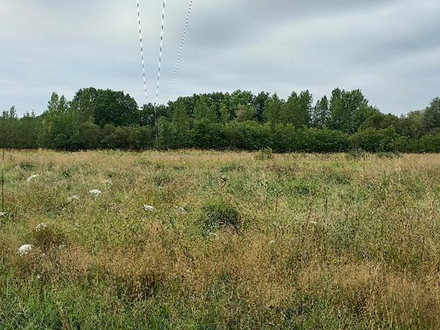 Ménesplet Vente Terrain 24