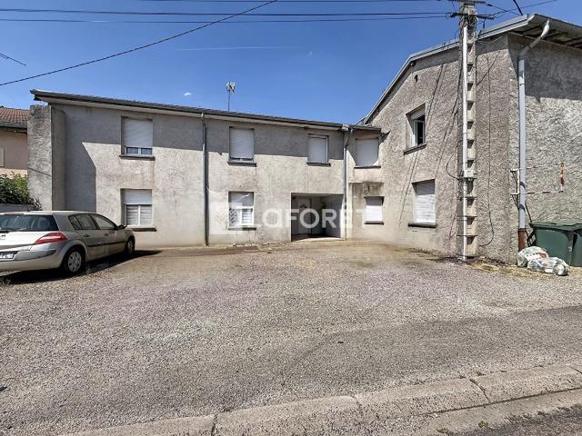 Ménil en Xaintois Vente Immeuble 88