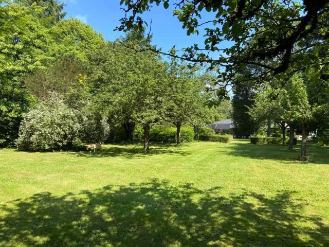 Mennecy Vente Terrain 91