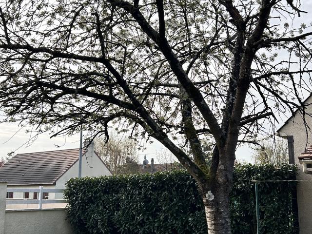 Meaux Vente Maison 77