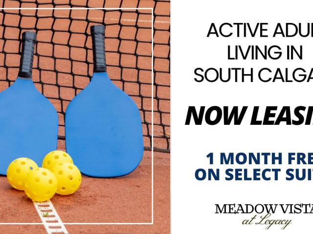 Meadow Vista at Legacy Sam 2 [object Promise] for Rent