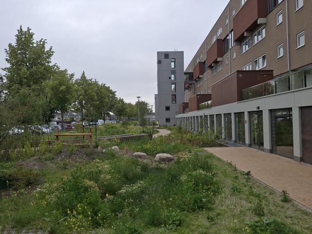 Meanderlaan 92