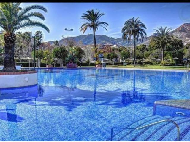 Media Temporada.Se alquila desde 01/11/2026 hasta 31/3/2027 bonito estudio en Benalmadena Costa co