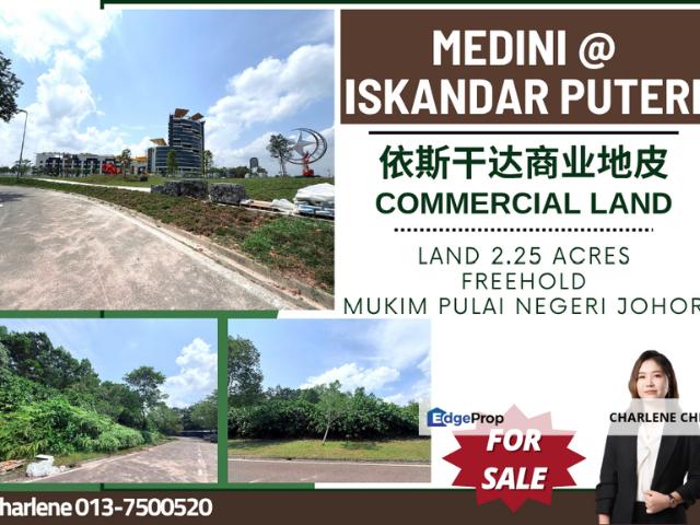 Medini