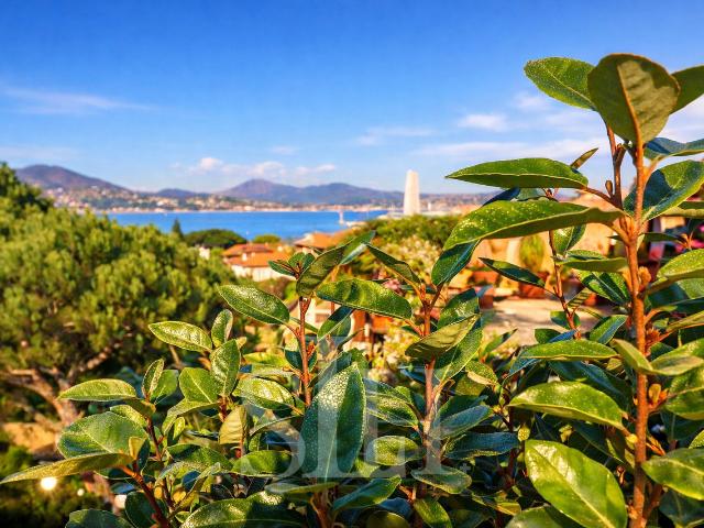 Meerblick Wohnung. Mit einem 95m2 grossen Dachboden zum Verkauf in Saint Tropez