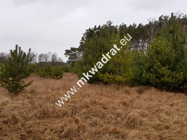 Mega oferta zadzwoń warto zobaczyć! 25 000 m², Budy Iłowskie